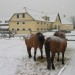 Ohlédnutí za rokem 2012