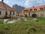 Hostel Toulcův dvůr