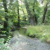 images/stories/fotogalerie/1860/P1010328.VIII07.jpg