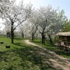 images/stories/fotogalerie/1860/tresne01.jpg