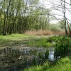 images/stories/fotogalerie/1860/tresne03.jpg