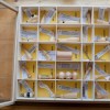 images/stories/fotogalerie/2017/foceniSeminko19.jpg