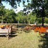 images/stories/fotogalerie/2031/20170808_083928pss.jpg