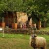 images/stories/fotogalerie/5736/maringotka.jpg