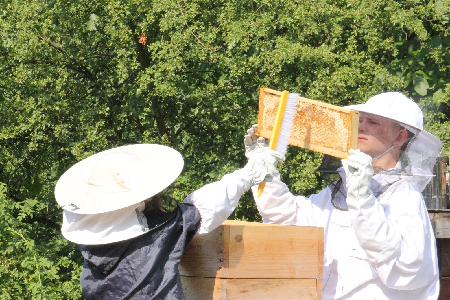 včelařský kurz